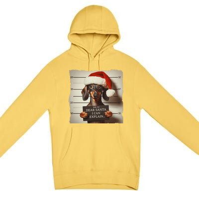 Funny Dachshund Christmas Dear Santa I Can Explain Weiner Gift Premium Pullover Hoodie