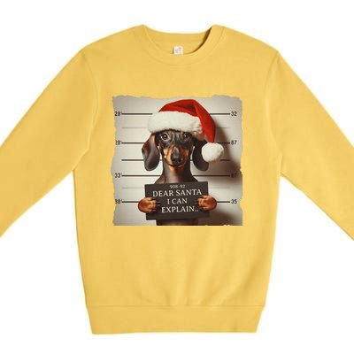 Funny Dachshund Christmas Dear Santa I Can Explain Weiner Gift Premium Crewneck Sweatshirt