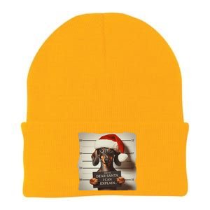 Funny Dachshund Christmas Dear Santa I Can Explain Weiner Gift Knit Cap Winter Beanie