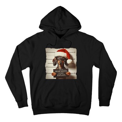 Funny Dachshund Christmas Dear Santa I Can Explain Weiner Gift Hoodie