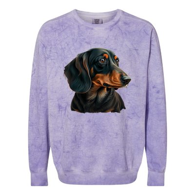 Funny Dachshund Cute Weiner Dog Gift Colorblast Crewneck Sweatshirt