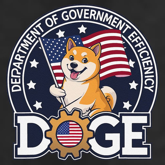 Funny Doge Crypto Meme Department Of Government Efficiency 7 Panel Mesh Trucker Snapback Hat