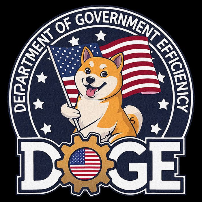 Funny Doge Crypto Meme Department Of Government Efficiency Drawstring Bag