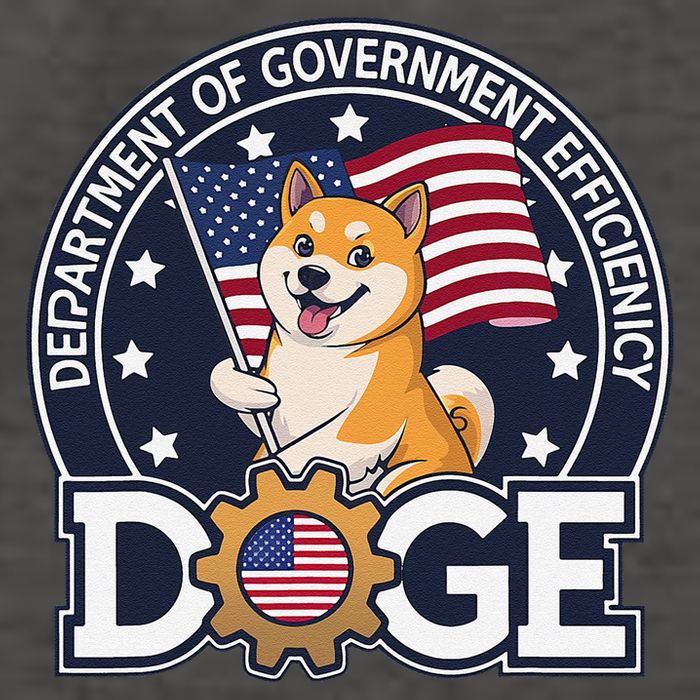Funny Doge Crypto Meme Department Of Government Efficiency Vector Backpack