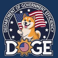 Funny Doge Crypto Meme Department Of Government Efficiency Infant Baby Jersey Bodysuit
