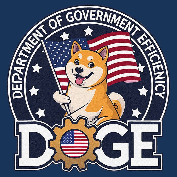 Funny Doge Crypto Meme Department Of Government Efficiency Infant Baby Jersey Bodysuit