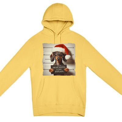 Funny Dachshund Christmas Dear Santa I Can Explain Gift Premium Pullover Hoodie