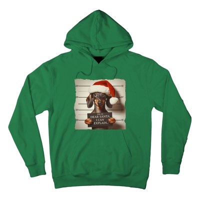 Funny Dachshund Christmas Dear Santa I Can Explain Gift Hoodie