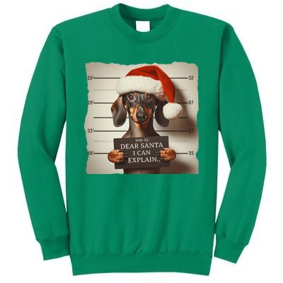 Funny Dachshund Christmas Dear Santa I Can Explain Gift Sweatshirt