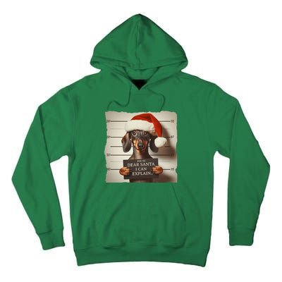 Funny Dachshund Christmas Dear Santa I Can Explain Gift Tall Hoodie