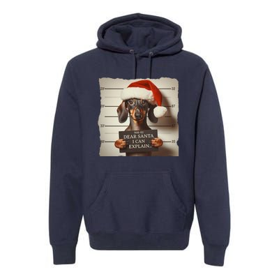 Funny Dachshund Christmas Dear Santa I Can Explain Gift Premium Hoodie