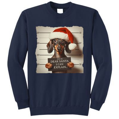 Funny Dachshund Christmas Dear Santa I Can Explain Gift Tall Sweatshirt