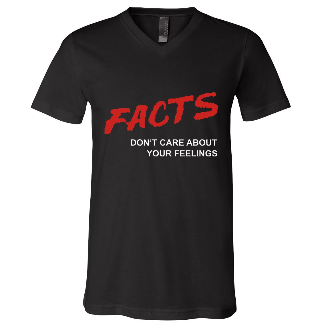 Facts DonT Care About Your Feelings Facts Music Video V-Neck T-Shirt