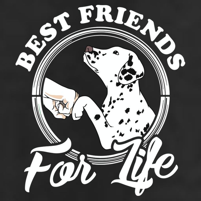 Funny Dalmatian Design Best Friends Dalmation Lovers Cool Comfort Performance Bucket Hat