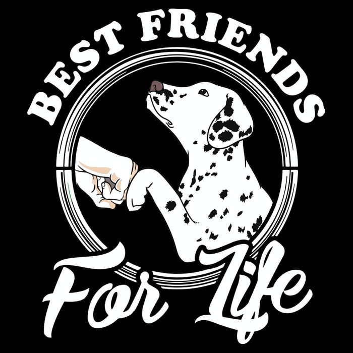 Funny Dalmatian Design Best Friends Dalmation Lovers Button