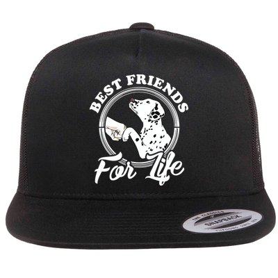 Funny Dalmatian Design Best Friends Dalmation Lovers Flatbill Hat