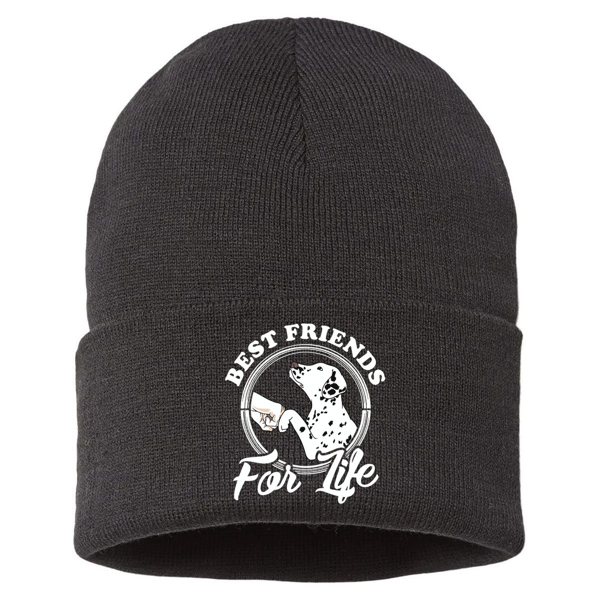 Funny Dalmatian Design Best Friends Dalmation Lovers Sustainable Knit Beanie
