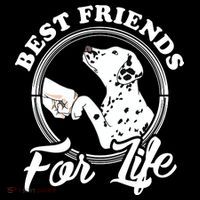 Funny Dalmatian Design Best Friends Dalmation Lovers Pom Pom 12in Knit Beanie