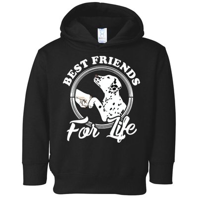 Funny Dalmatian Design Best Friends Dalmation Lovers Toddler Hoodie