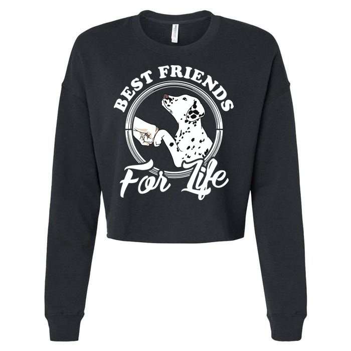 Funny Dalmatian Design Best Friends Dalmation Lovers Cropped Pullover Crew