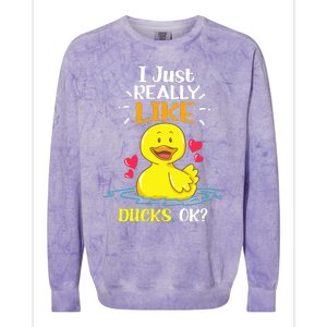 Funny Duck Ducks Rubber Gift Colorblast Crewneck Sweatshirt