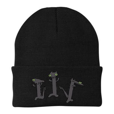 Funny Dancing Dragon Meme Trending Dancing Toothless Beanie
