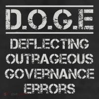 Funny Doge. Deflecting Outrageous Governance Errors Beanie