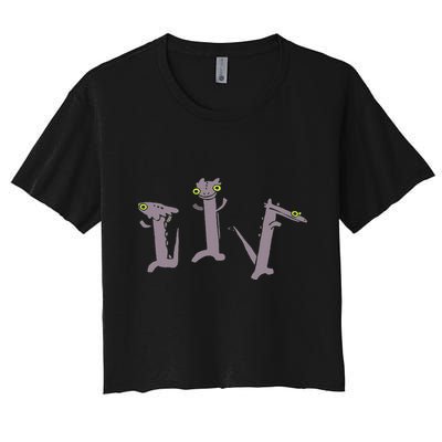 Funny Dancing Dragon Meme Crop Top