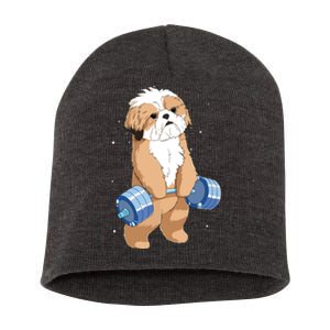 Funny Dog Deadlift Shih Tzu Short Acrylic Beanie