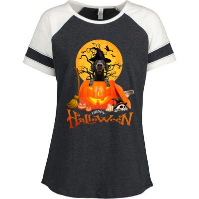 Funny Dachshund Dog Spooky Halloween Enza Ladies Jersey Colorblock Tee