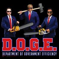 Funny D.O.G.E. (Department Of Government Efficiency) Doge Gift Sustainable Beanie