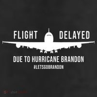 Flight Delayed Due To Hurricane Brandon #LetsGoBrandon Crop Fleece Hoodie