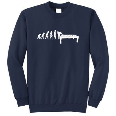 Father's Day Evolution Billiards Sport Gift For Dad Sweatshirt