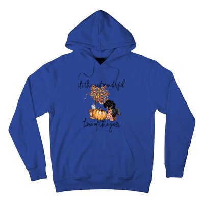 Funny Dachshund Fall Pumpkin Most Wonderful Time Of The Year Gift Hoodie