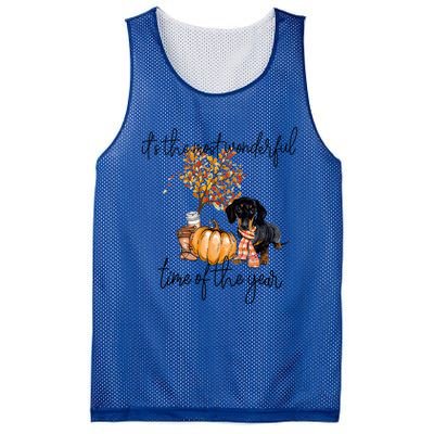 Funny Dachshund Fall Pumpkin Most Wonderful Time Of The Year Gift Mesh Reversible Basketball Jersey Tank