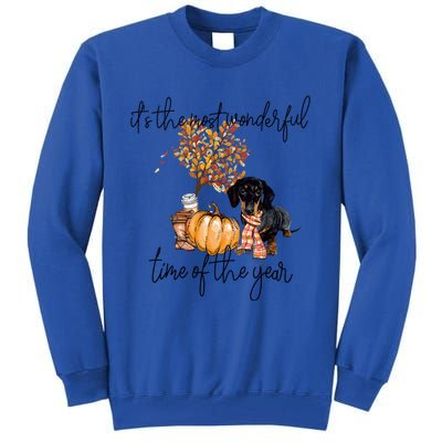 Funny Dachshund Fall Pumpkin Most Wonderful Time Of The Year Gift Tall Sweatshirt