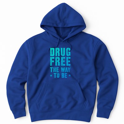 Funny Drug Free The Way To Be Clean Na Inspirational Funny Gift Hoodie