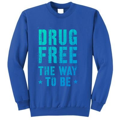Funny Drug Free The Way To Be Clean Na Inspirational Funny Gift Sweatshirt