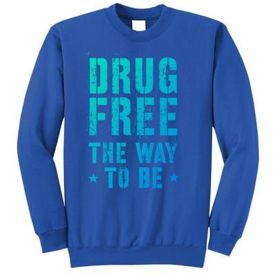 Funny Drug Free The Way To Be Clean Na Inspirational Funny Gift Sweatshirt