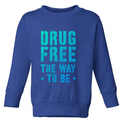 Funny Drug Free The Way To Be Clean Na Inspirational Funny Gift Toddler Sweatshirt