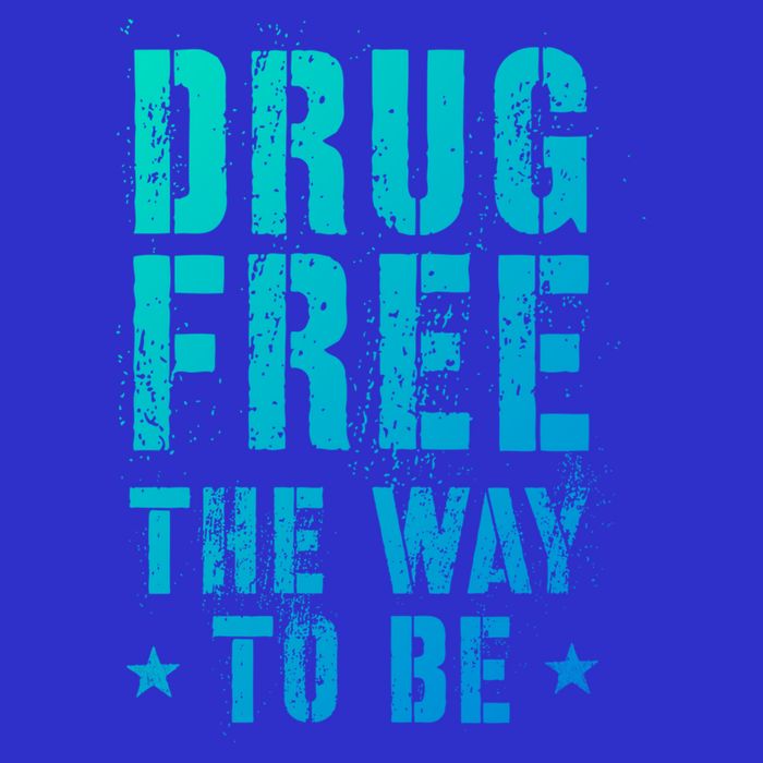 Funny Drug Free The Way To Be Clean Na Inspirational Funny Gift Womens T-Shirt