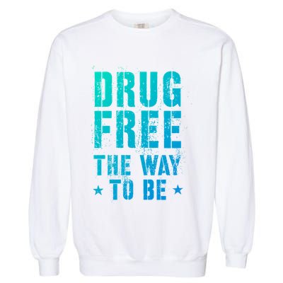 Funny Drug Free The Way To Be Clean Na Inspirational Funny Gift Garment-Dyed Sweatshirt