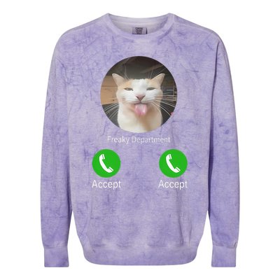 Freaky Department Funny Cat Meme Colorblast Crewneck Sweatshirt