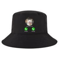 Freaky Department Funny Cat Meme Cool Comfort Performance Bucket Hat