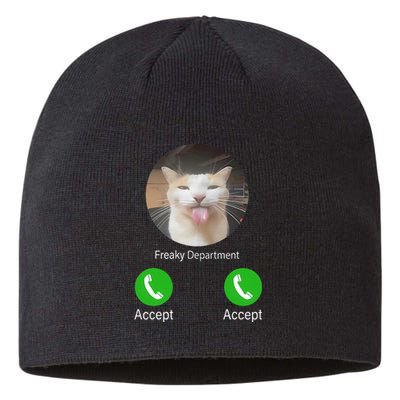 Freaky Department Funny Cat Meme Sustainable Beanie