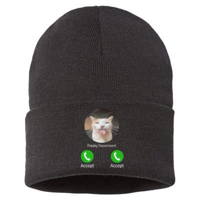 Freaky Department Funny Cat Meme Sustainable Knit Beanie