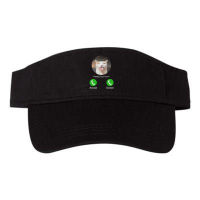 Freaky Department Funny Cat Meme Valucap Bio-Washed Visor