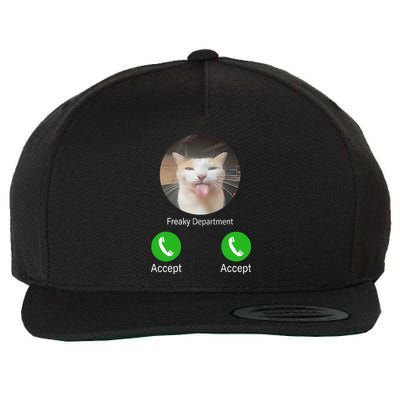 Freaky Department Funny Cat Meme Wool Snapback Cap