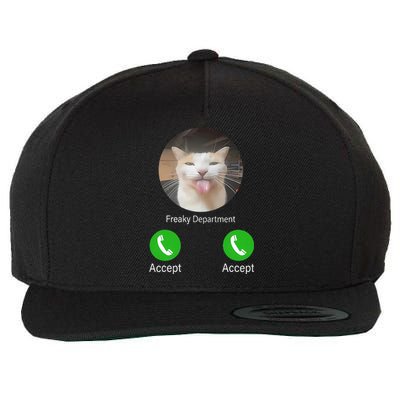 Freaky Department Funny Cat Meme Wool Snapback Cap