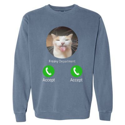 Freaky Department Funny Cat Meme Garment-Dyed Sweatshirt